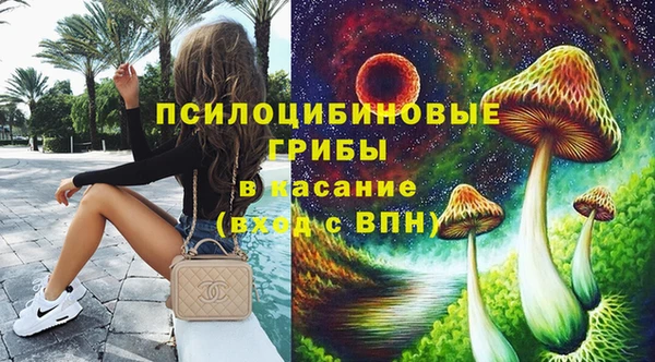 ешки Алексин