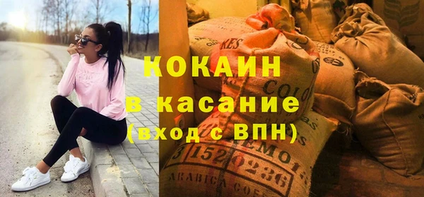 ешки Алексин