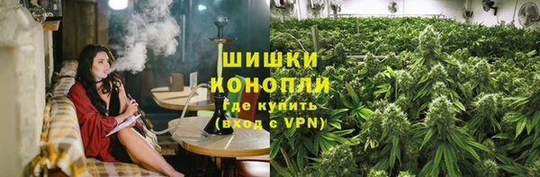 ешки Алексин