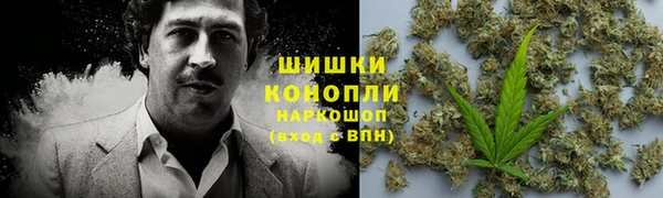 ешки Алексин